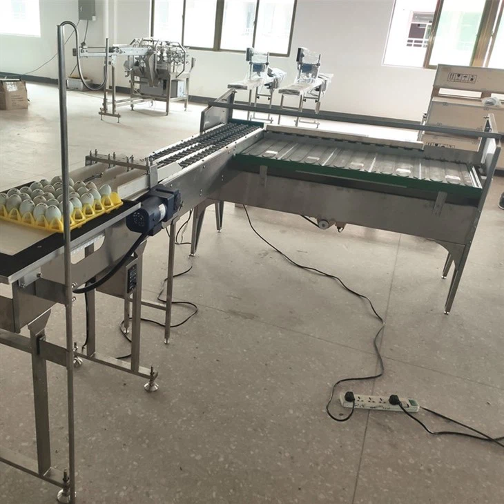 egg sorter (2)