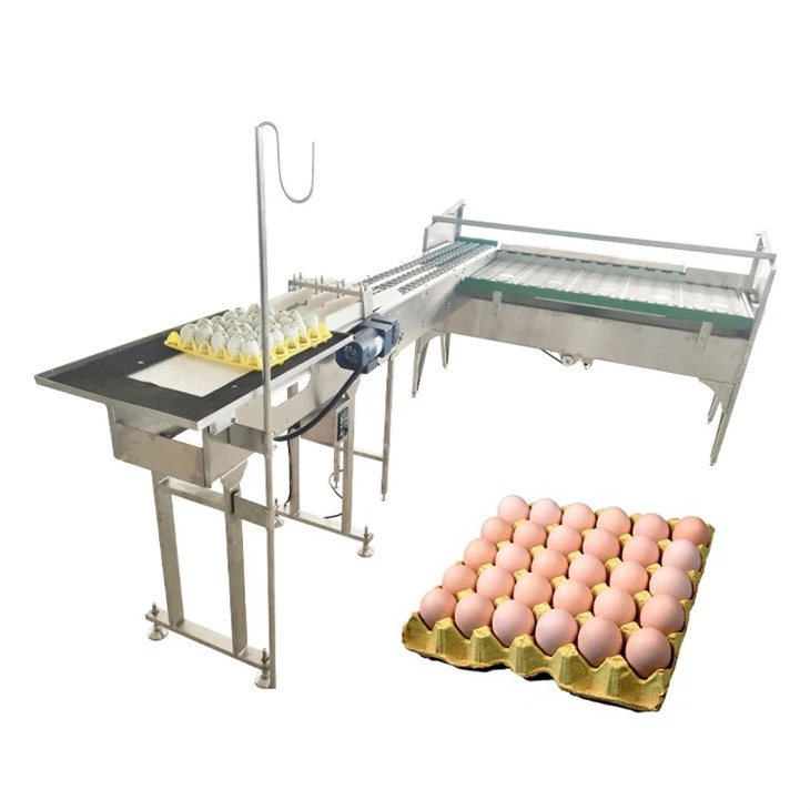 egg grading machine