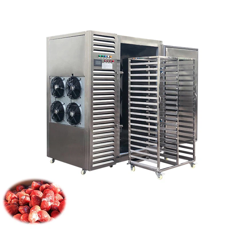 Fast Freezer Machine